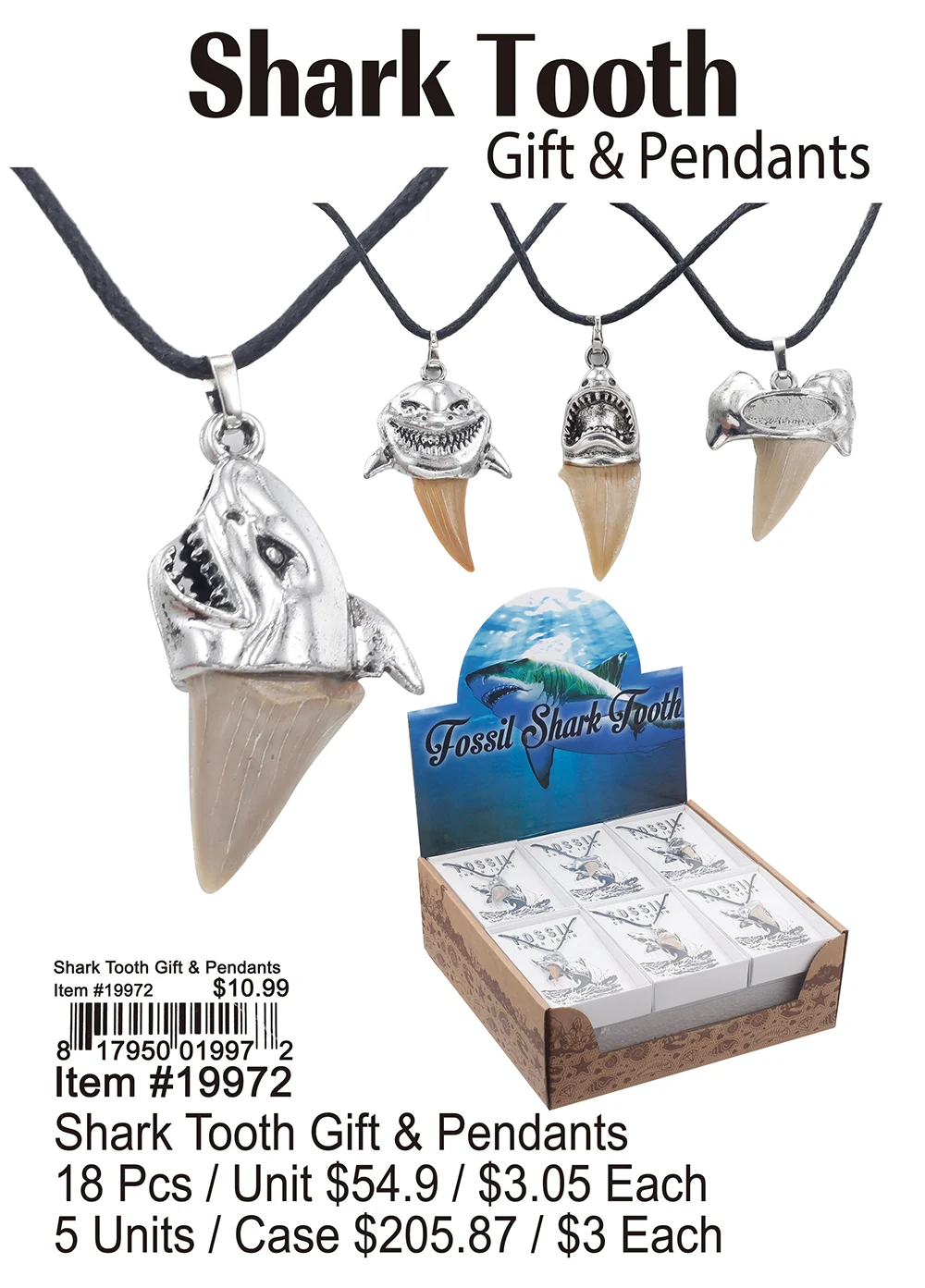 Shark Tooth Gift and Pendants